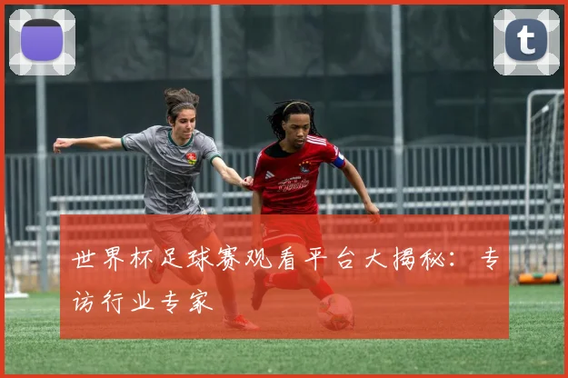 世界杯足球赛观看平台大揭秘：专访行业专家
