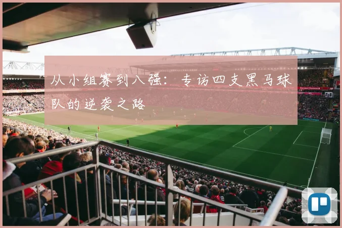 从小组赛到八强：专访四支黑马球队的逆袭之路