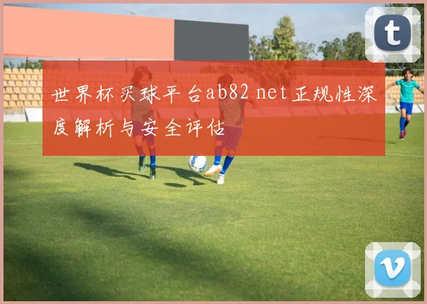 世界杯买球平台ab82 net正规性深度解析与安全评估