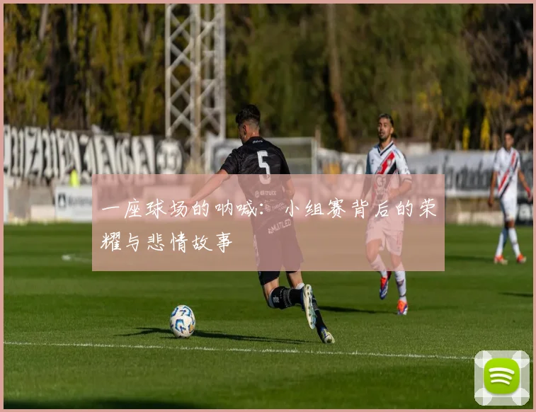 一座球场的呐喊：小组赛背后的荣耀与悲情故事