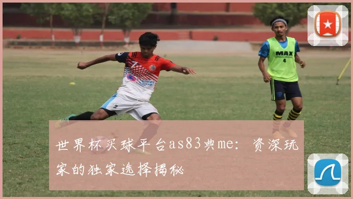 世界杯买球平台as83典me：资深玩家的独家选择揭秘