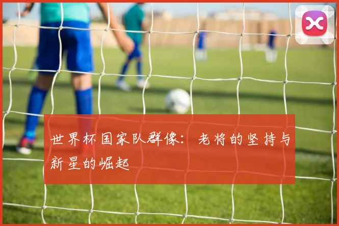 世界杯国家队群像:老将的坚持与新星的崛起