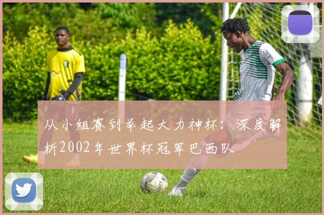 从小组赛到举起大力神杯：深度解析2002年世界杯冠军巴西队