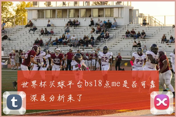 世界杯买球平台bs18点me是否可靠？深度分析来了